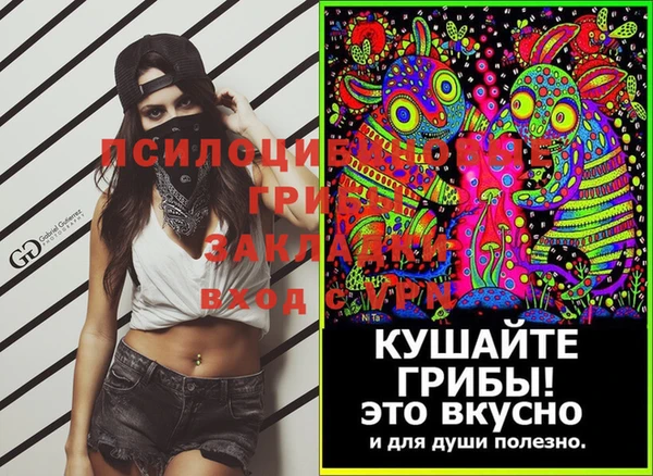 винт Алзамай