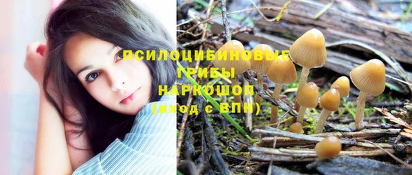 бошки Абаза