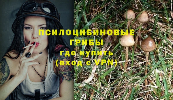 spice Абдулино